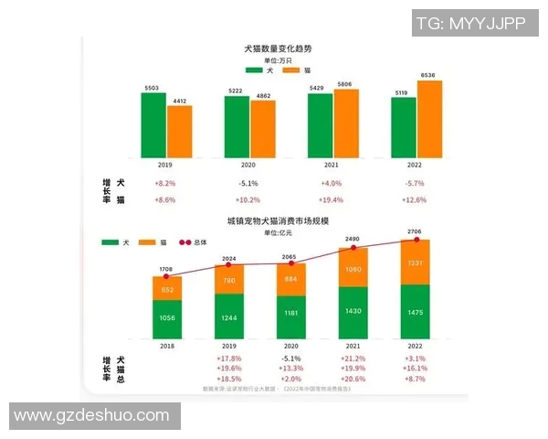卡姆雷迪什的崛起之路与未来发展潜力分析