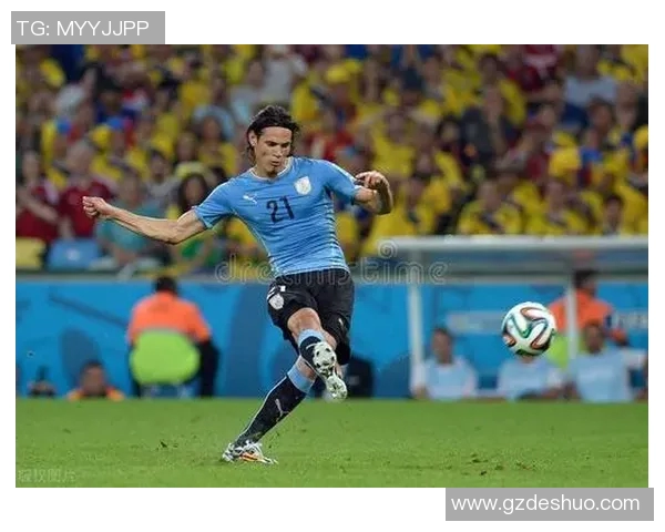 瑞士与秘鲁对决在即六月十七日精彩赛事不容错过