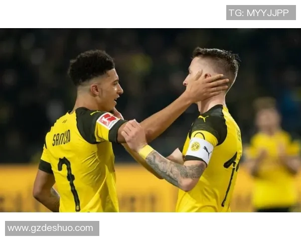 加克波的崛起之路：从青涩小将到足坛新星的奋斗历程