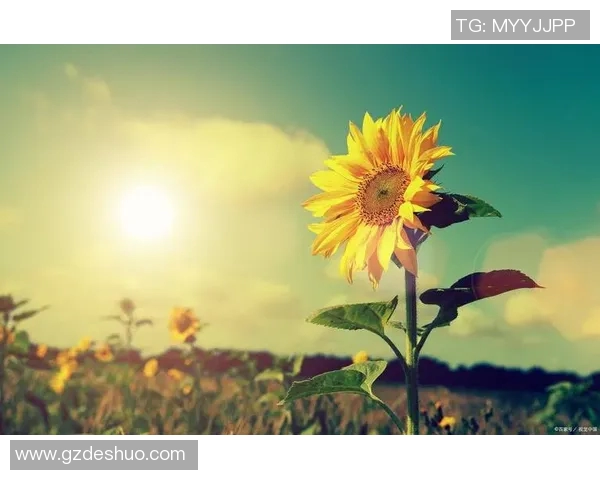 廖三宁：从音乐天才到文化使者的成长之路与人生感悟