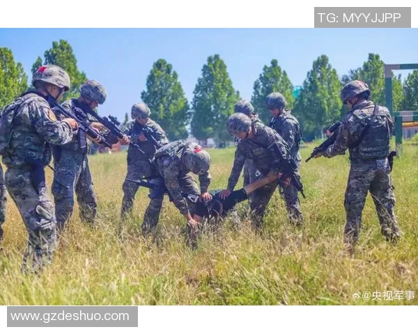 专业分析V5战队阵地战策略与战术深度解析 专业分析V5战队阵地战策略与战术深度解析