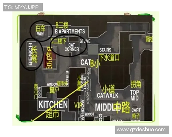 CSGO战术解析：深入探讨V5战队的进攻策略与执行细节