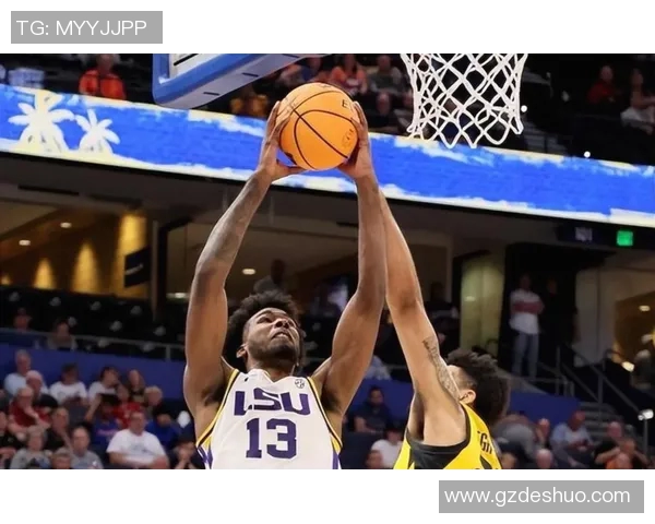 德阿隆福克斯引领国王崛起展现无限潜力与领导力