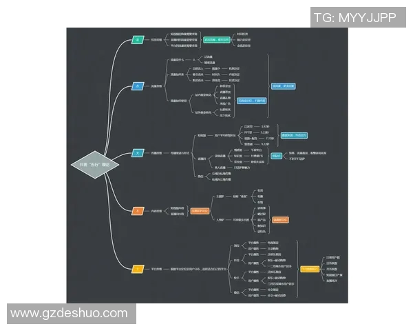 深度分析FPX的运营策略与战术布局探讨 深度分析FPX的运营策略与战术布局探讨