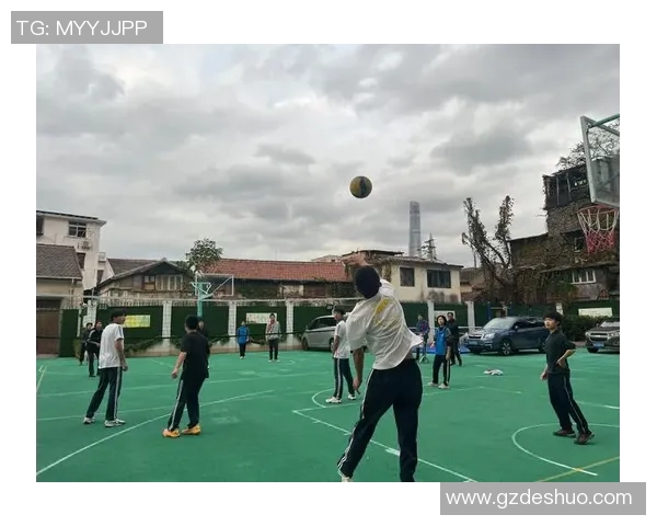 独家解析上海排球队比赛经验的优势与不足对比分析